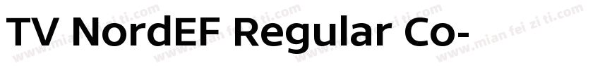 TV NordEF Regular Co字体转换